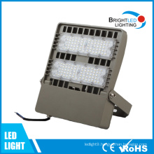 IP65 LED Floodlight 100W 110lm/W with Osaram Meanwell Chip